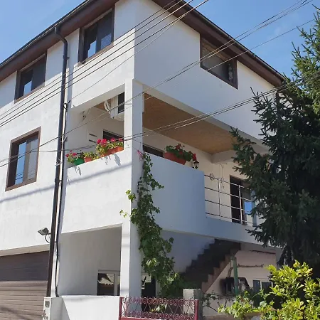 Pensiune Vila Axelandra 3*