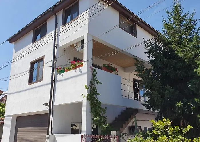 Pensiune Vila Axelandra 3*